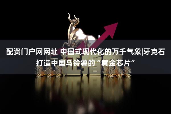 配资门户网网址 中国式现代化的万千气象|牙克石打造中国马铃薯的“黄金芯片”