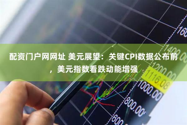 配资门户网网址 美元展望：关键CPI数据公布前，美元指数看跌动能增强