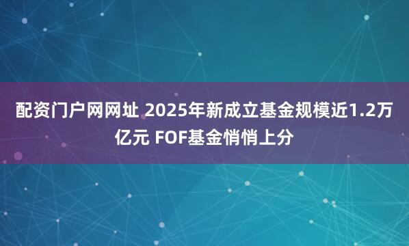 配资门户网网址 2025年新成立基金规模近1.2万亿元 FOF基金悄悄上分