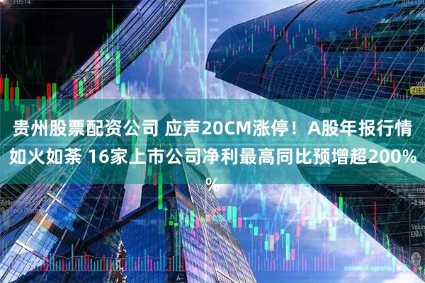 贵州股票配资公司 应声20CM涨停！A股年报行情如火如荼 16家上市公司净利最高同比预增超200%