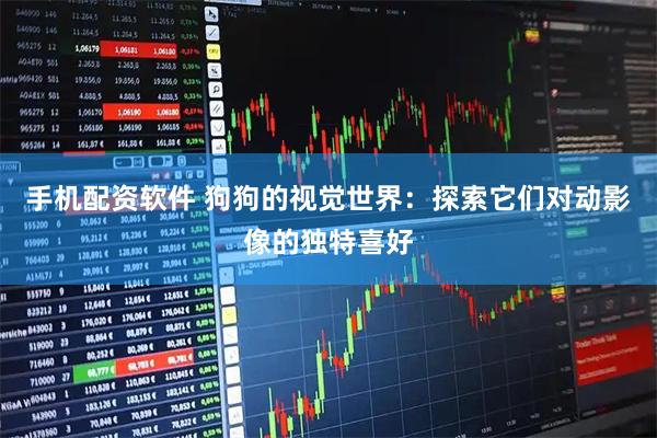 手机配资软件 狗狗的视觉世界：探索它们对动影像的独特喜好