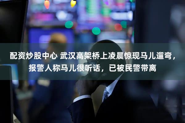配资炒股中心 武汉高架桥上凌晨惊现马儿遛弯，报警人称马儿很听话，已被民警带离