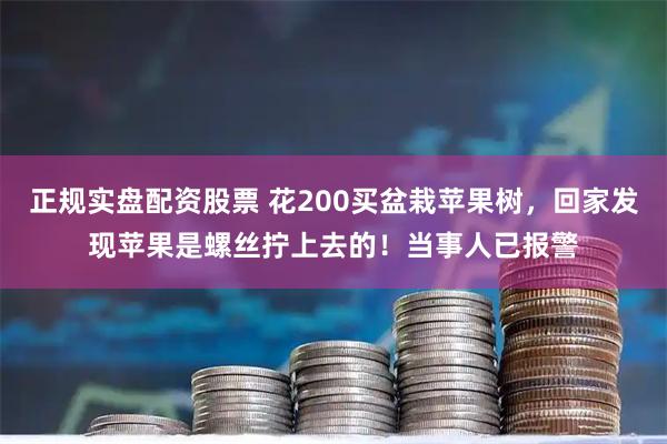正规实盘配资股票 花200买盆栽苹果树，回家发现苹果是螺丝拧上去的！当事人已报警