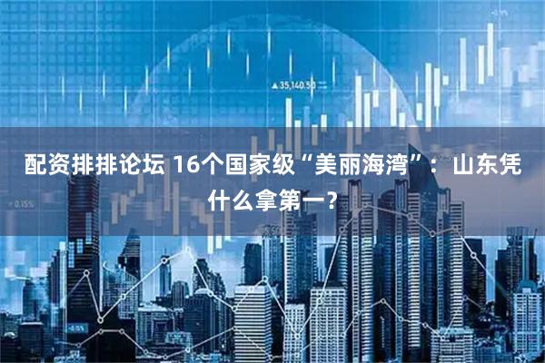 配资排排论坛 16个国家级“美丽海湾”：山东凭什么拿第一？