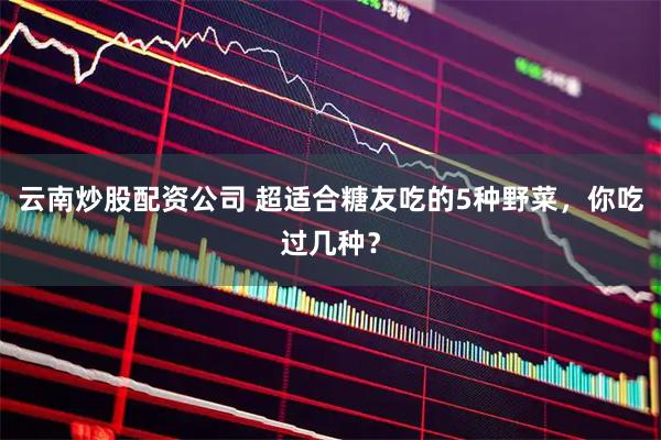 云南炒股配资公司 超适合糖友吃的5种野菜，你吃过几种？